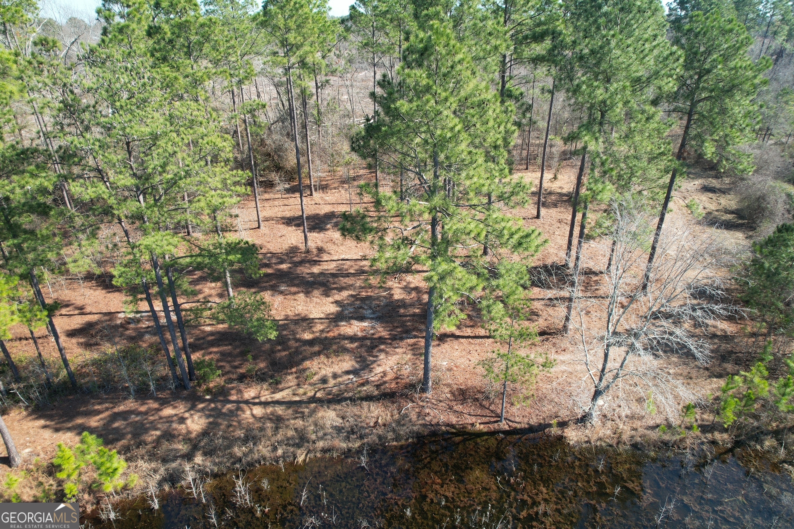 2 Chop Road Statesboro, GA 30461 - Photo 7 of 7