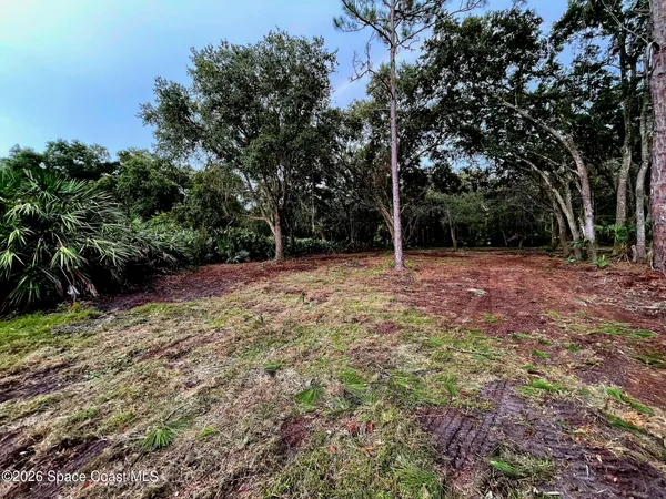 a view of outdoor space with trees all around