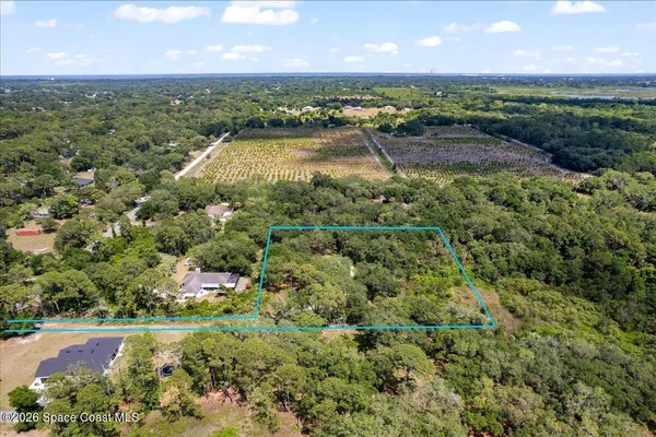 a view of a lake with a city