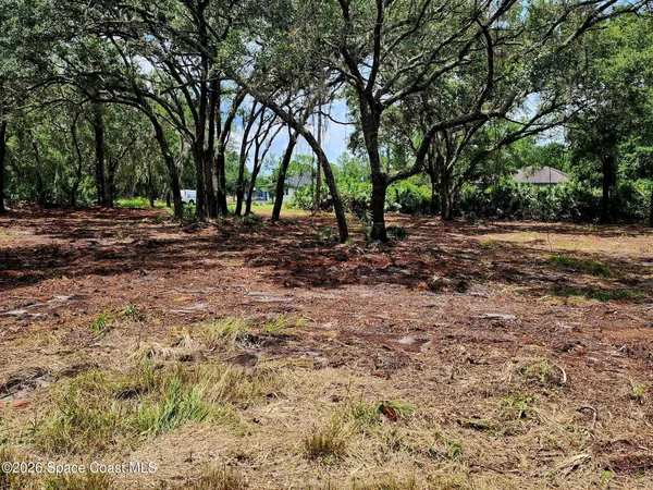 a view of a yard with plants and trees