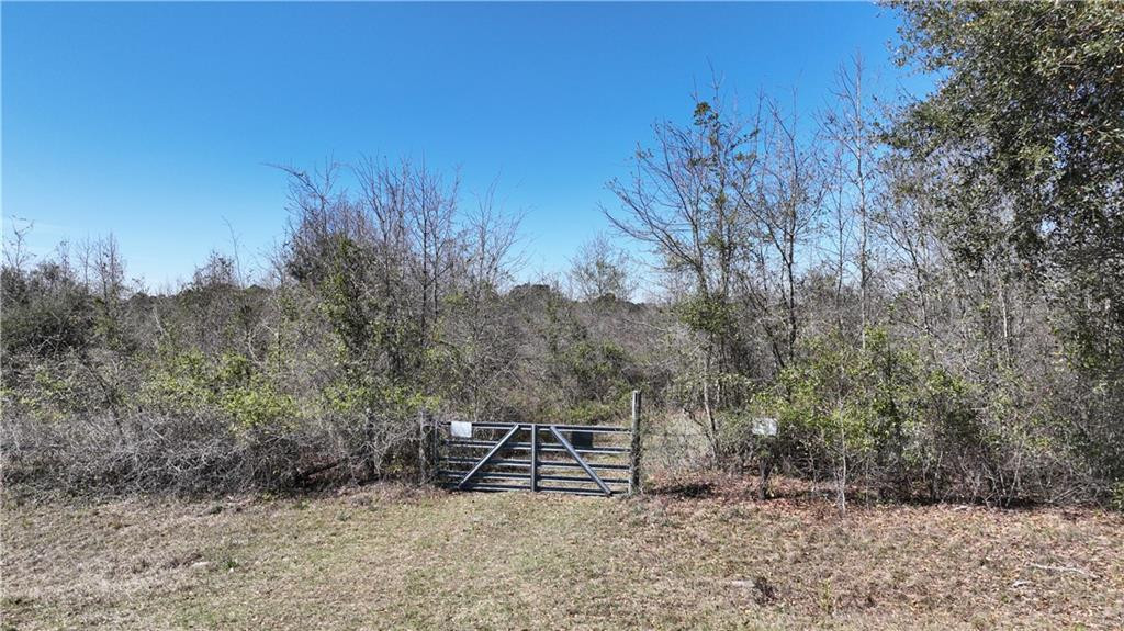3607 Collins Loop Odum, GA 31555 - Photo 1 of 1 Gallery Image 1