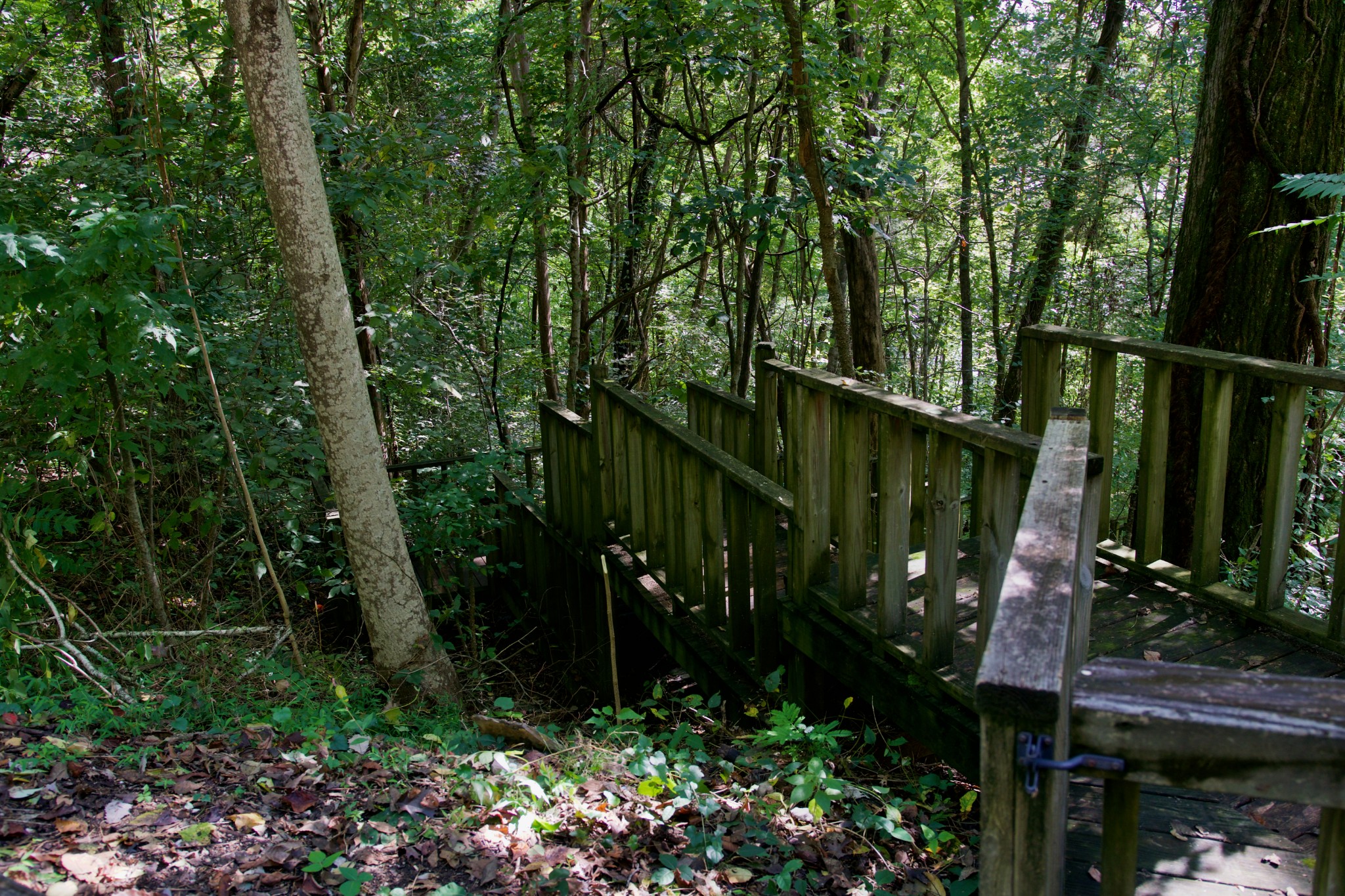 3203 Austin Bottom Road Baxter, TN 38544 - Photo 39 of 41