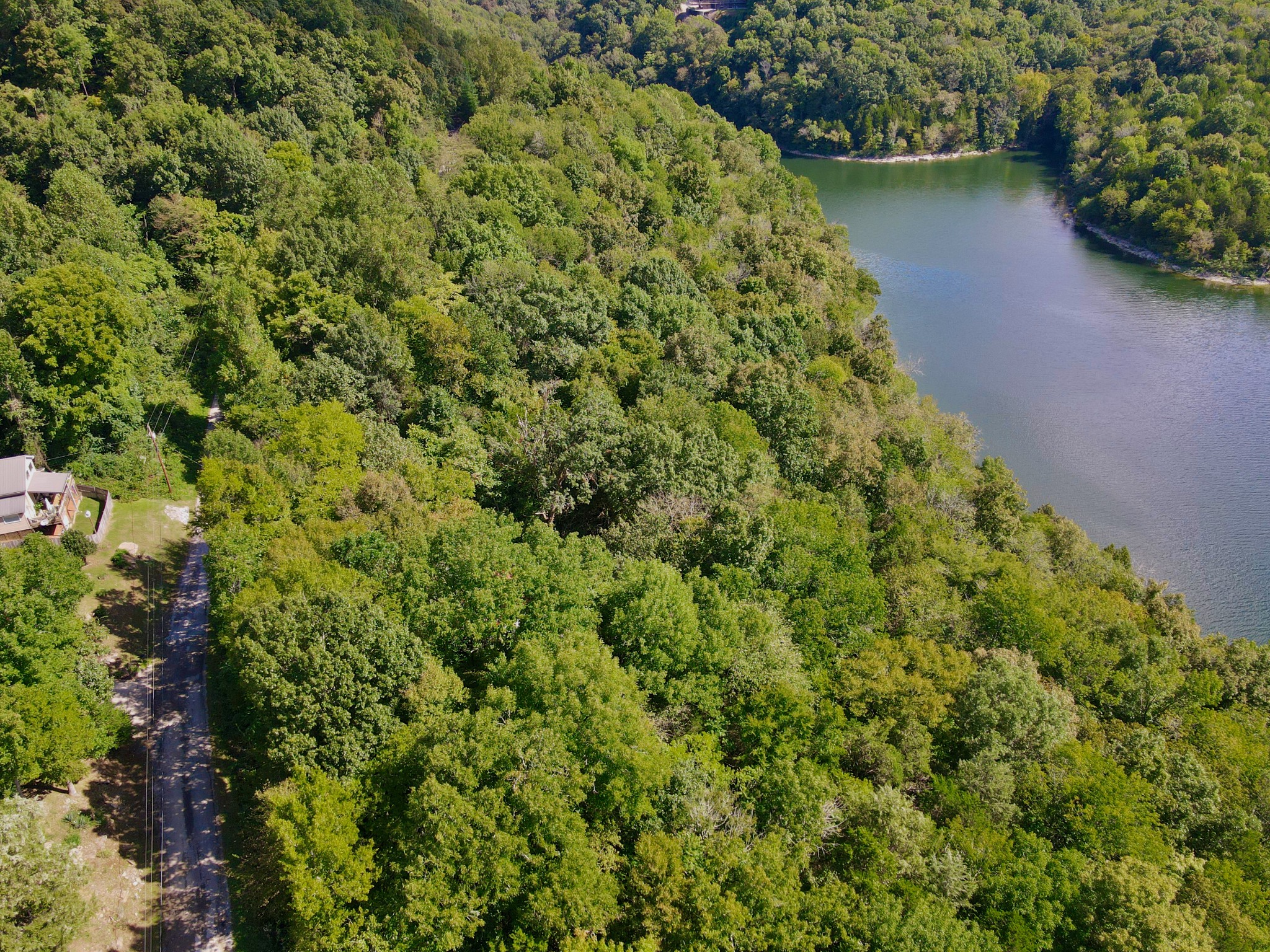 3203 Austin Bottom Road Baxter, TN 38544 - Photo 6 of 41 a view of a garden with a lake