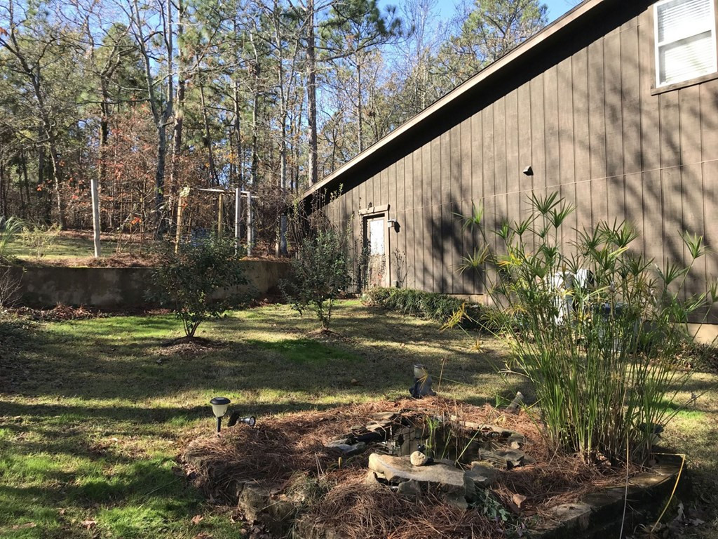 653 Edisto Lake Road Wagener, SC 29164 - Photo 26 of 33