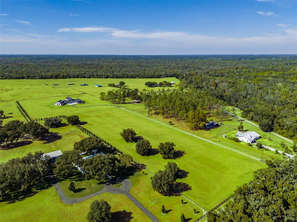 3527 Powerline Road Lithia, FL 33547 - Photo 10 of 12