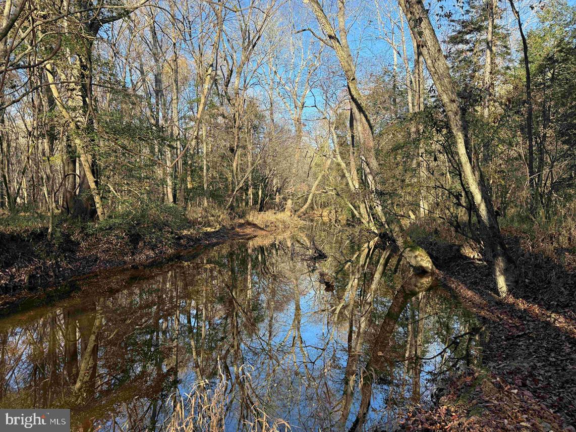 Slagles Lake Road Jarratt, VA 23867 - Photo 11 of 23