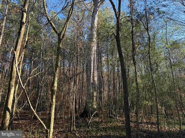 $547,935 | Slagles Lake Road, Jarratt, VA 23867