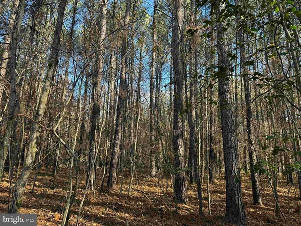 $547,935 | Slagles Lake Road, Jarratt, VA 23867