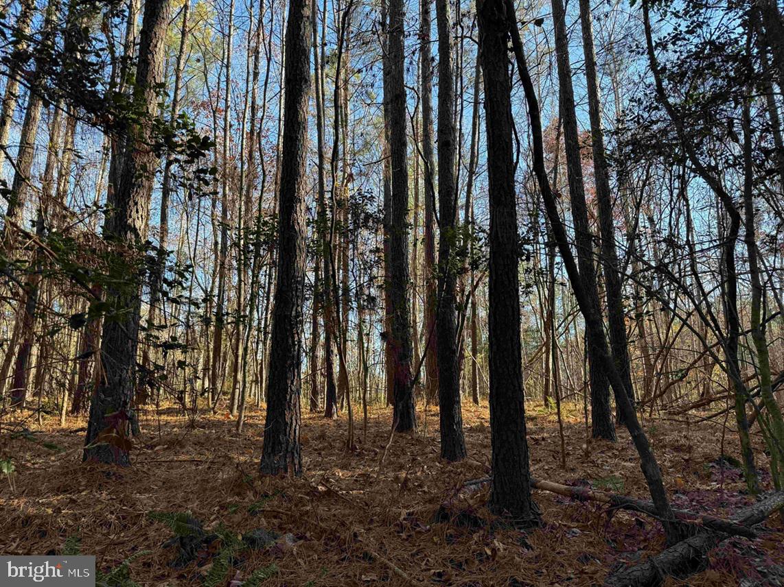 Slagles Lake Road Jarratt, VA 23867 - Photo 15 of 23