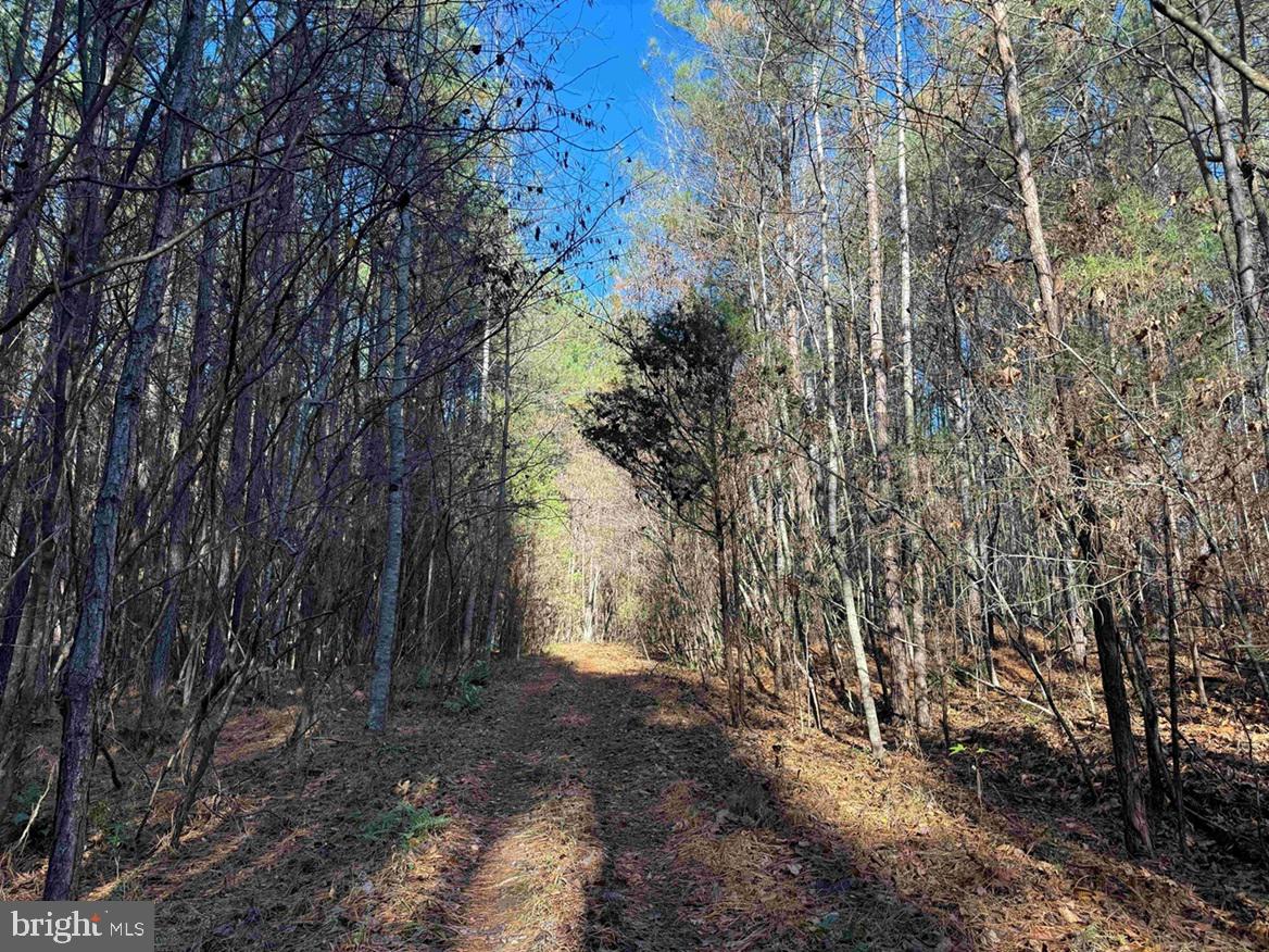 Slagles Lake Road Jarratt, VA 23867 - Photo 16 of 23
