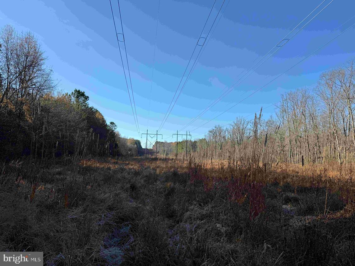 Slagles Lake Road Jarratt, VA 23867 - Photo 17 of 23