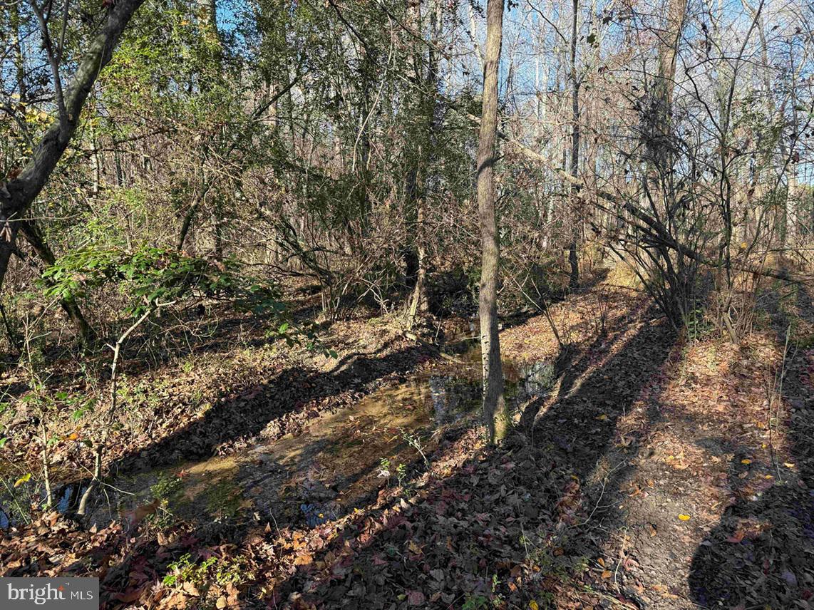 Slagles Lake Road Jarratt, VA 23867 - Photo 18 of 23