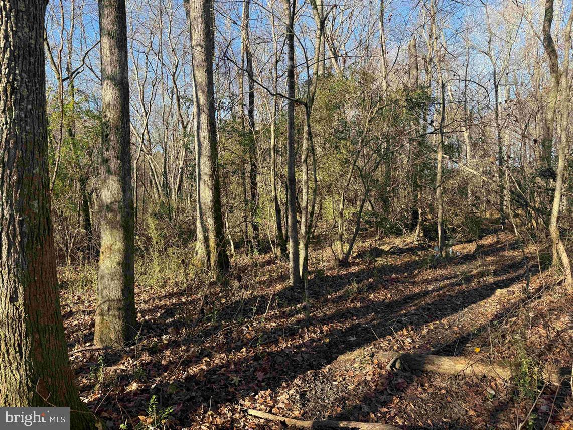 Slagles Lake Road Jarratt, VA 23867 - Photo 19 of 23