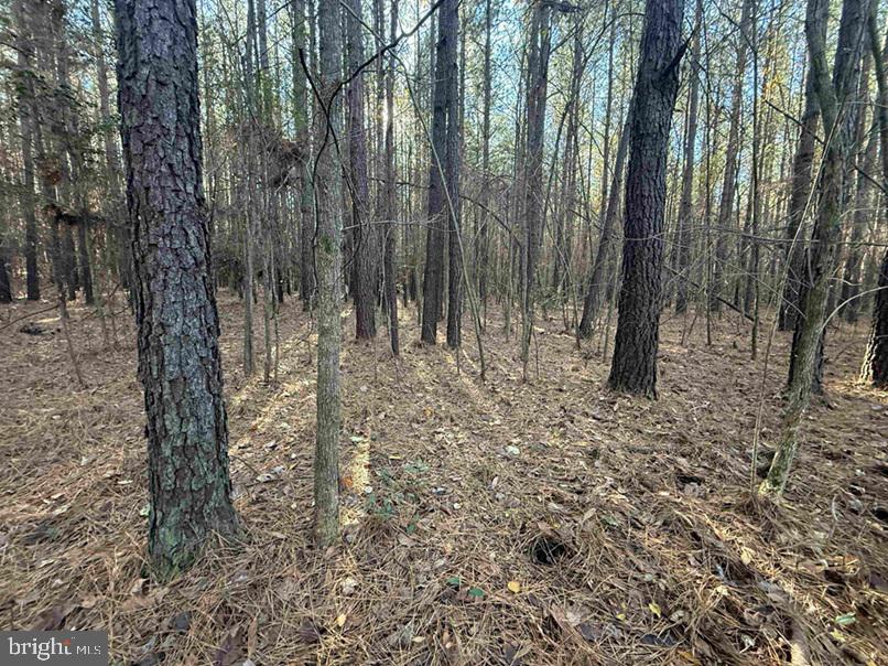 Slagles Lake Road Jarratt, VA 23867 - Photo 23 of 23