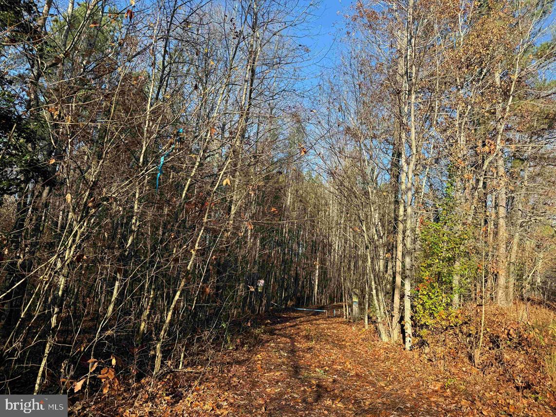 Slagles Lake Road Jarratt, VA 23867 - Photo 6 of 23