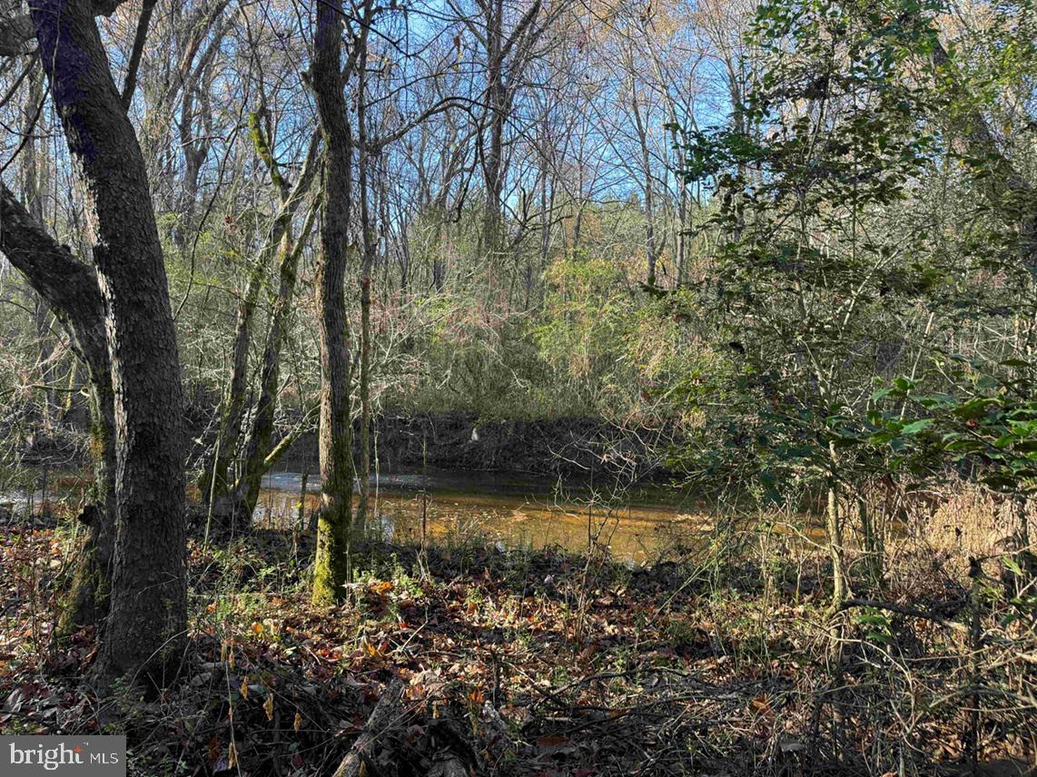 Slagles Lake Road Jarratt, VA 23867 - Photo 10 of 23