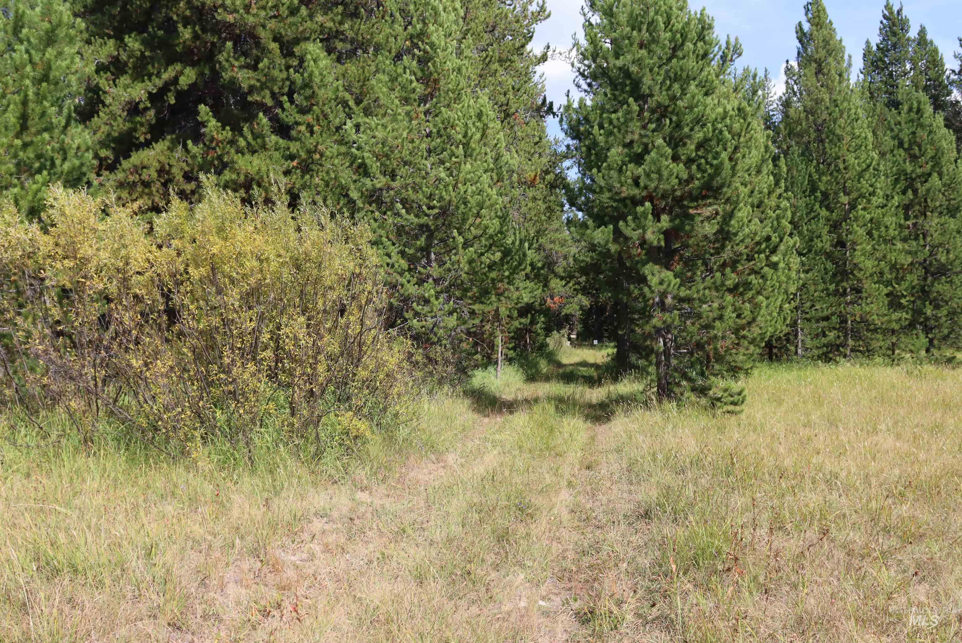 L49 Secesh River Road McCall, ID 83638 - Photo 2 of 9