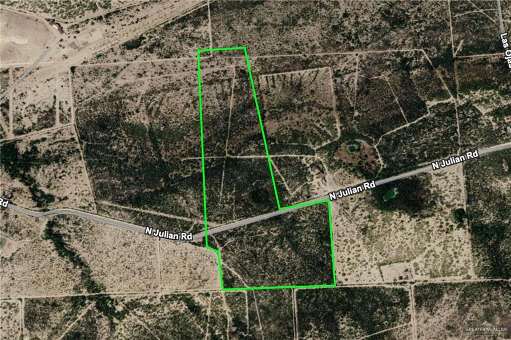 0 San Julian Roma, TX 78584 - Photo 4 of 4 a view of a forest