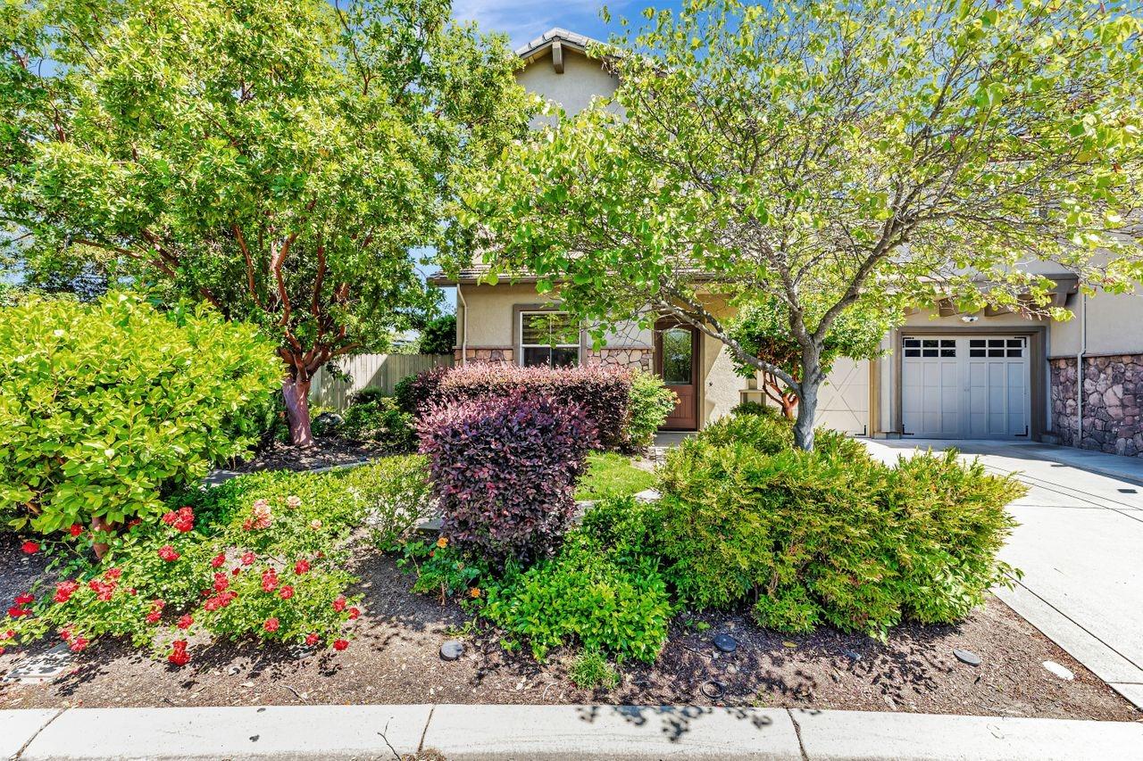 a view of a garden with plants
