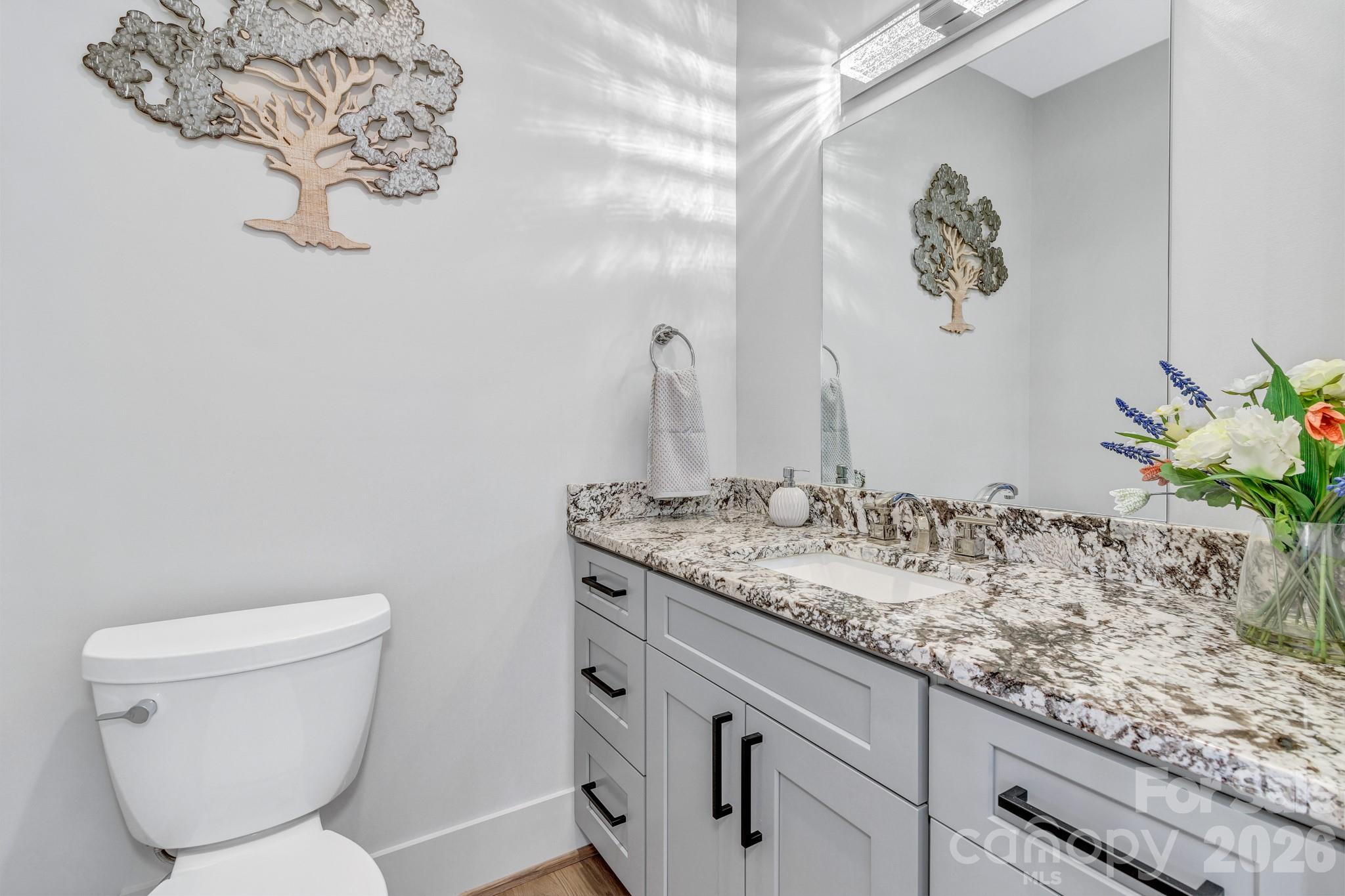 301 Rockbridge Road Mills River, NC 28759 - Photo 21 of 48 a bathroom with a toilet sink and vanity