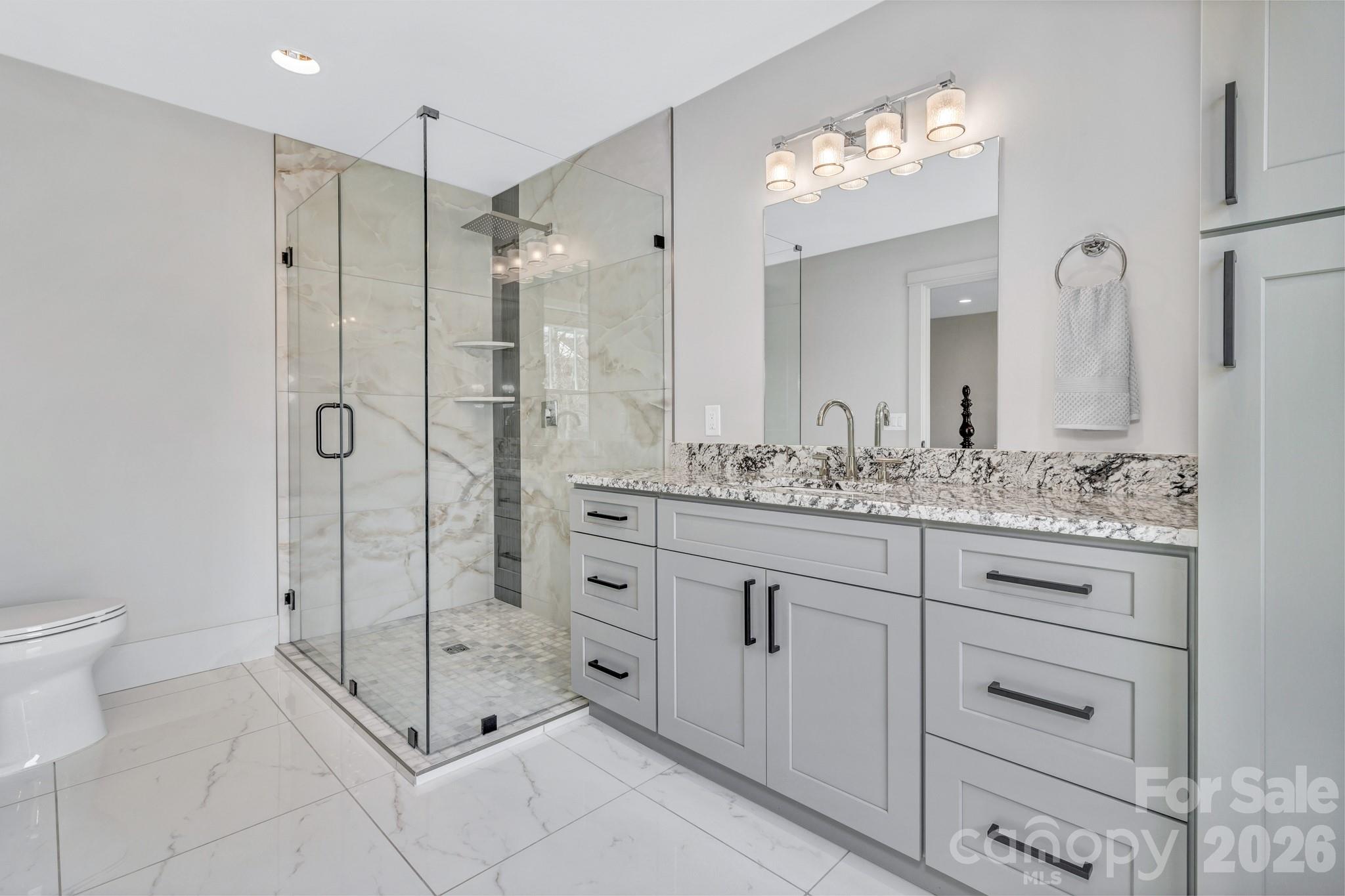 301 Rockbridge Road Mills River, NC 28759 - Photo 38 of 48 a bathroom with a shower toilet sink and mirror