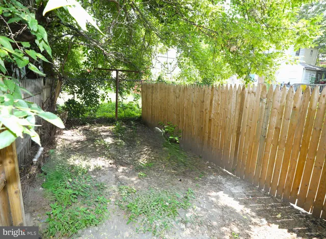 a view of backyard with tree