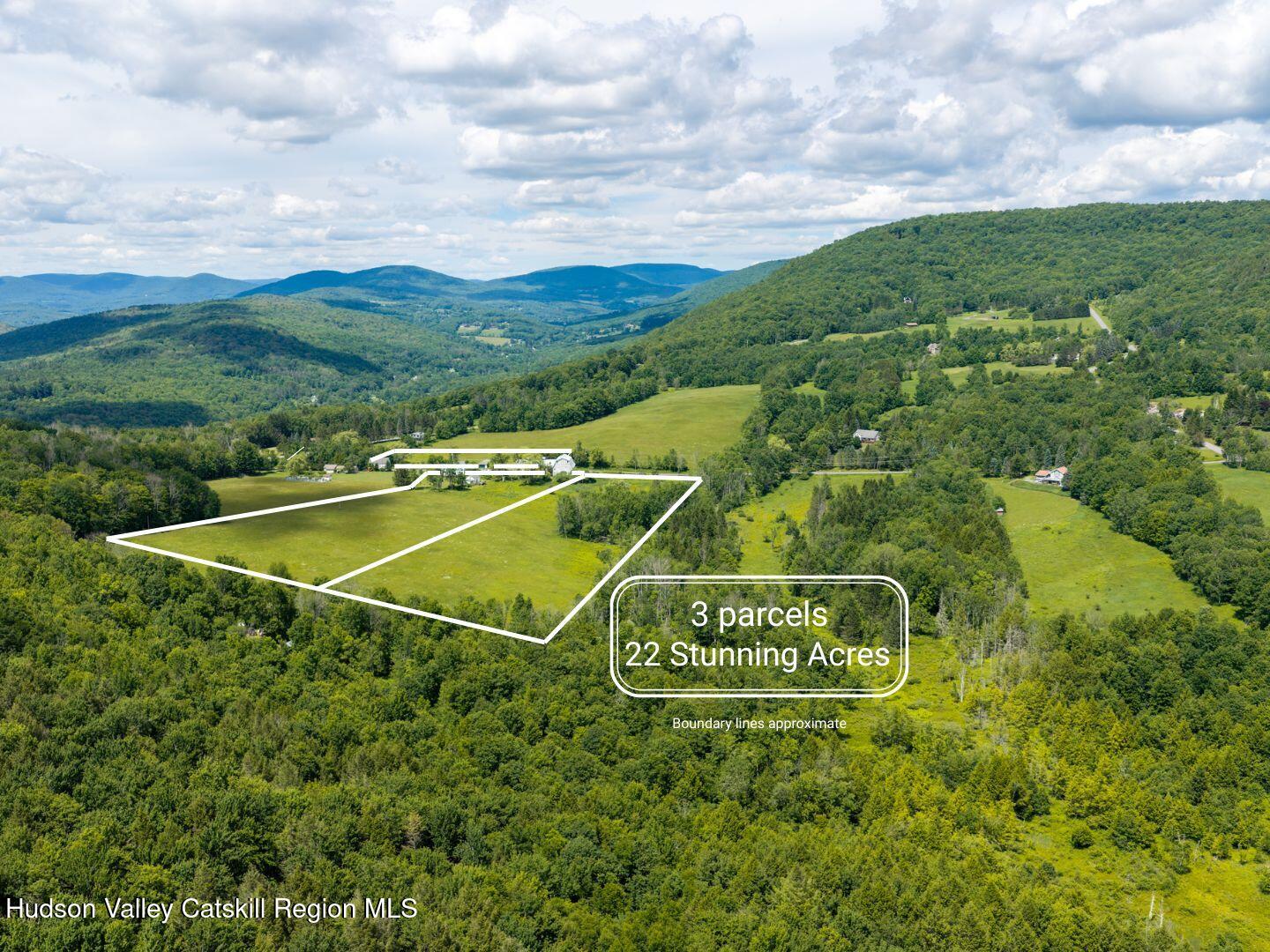 890 Hogg Mountain Road Fleischmanns, NY 12430 - Photo 2 of 41 3