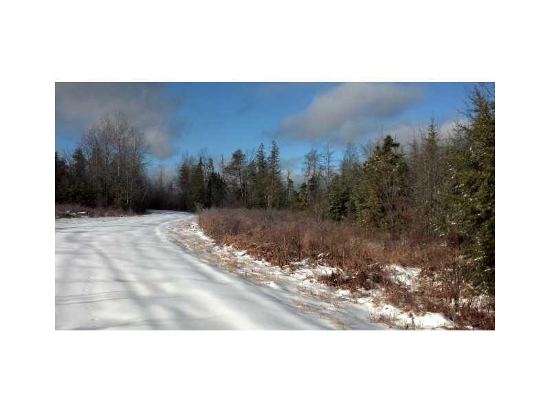 Lot 3 Davis Brook Acres Road Amity, ME 04471 - Photo 3 of 6 Land/Lot.