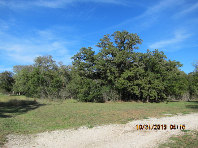 139 Smith Road Bastrop, TX 78602 - Photo 1 of 1 Gallery Image 1