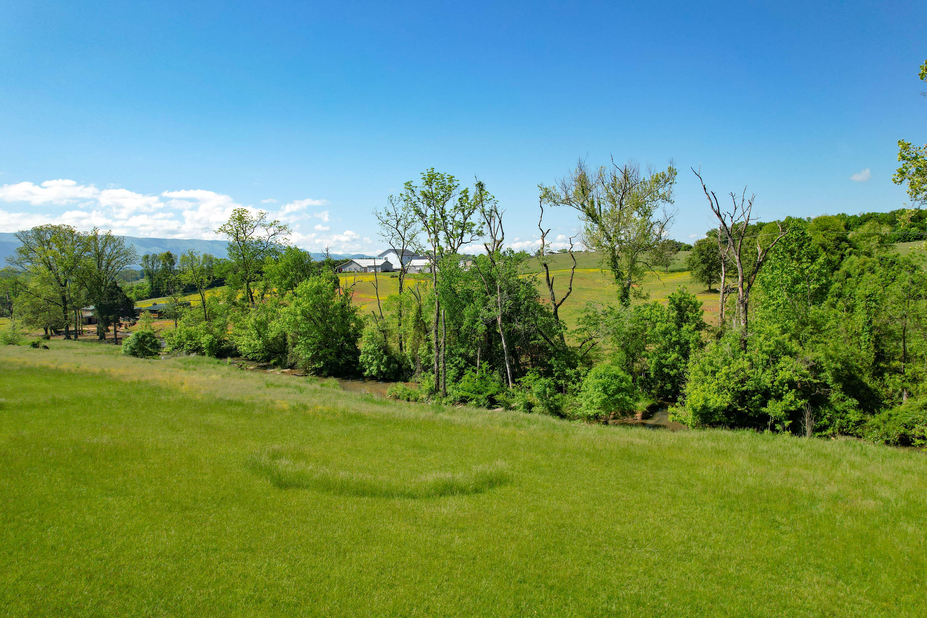 2320 Holly Creek Road Greeneville, TN 37745 - Photo 22 of 29 22