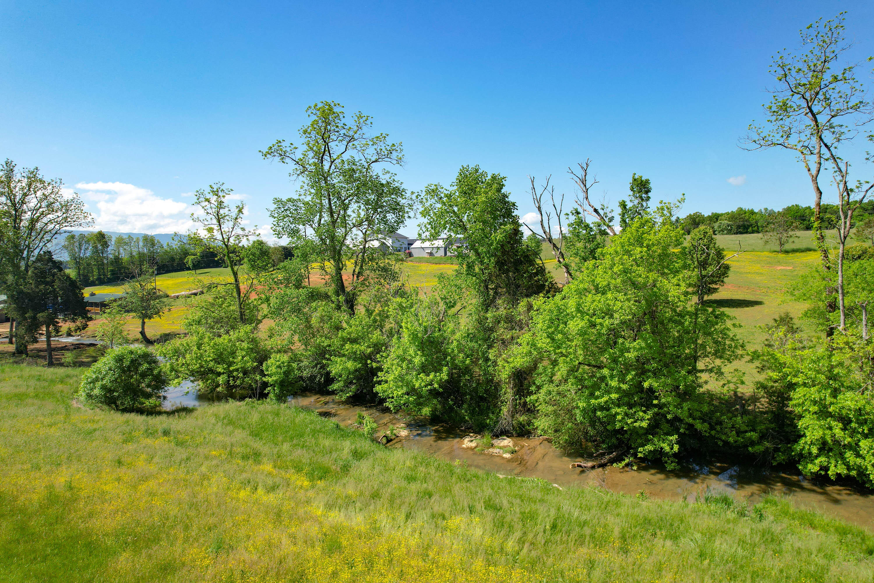 2320 Holly Creek Road Greeneville, TN 37745 - Photo 23 of 29 23