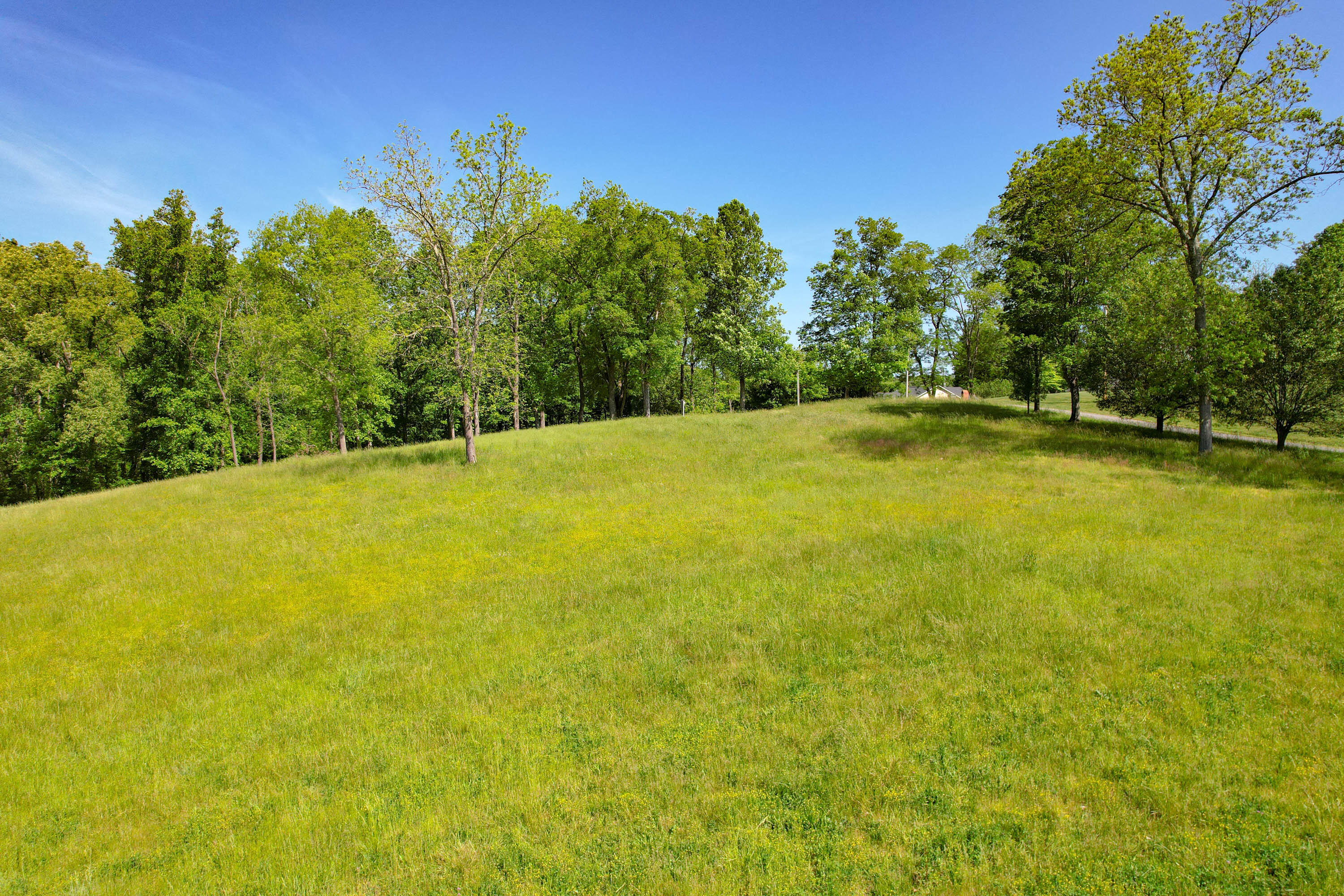 2320 Holly Creek Road Greeneville, TN 37745 - Photo 24 of 29 24