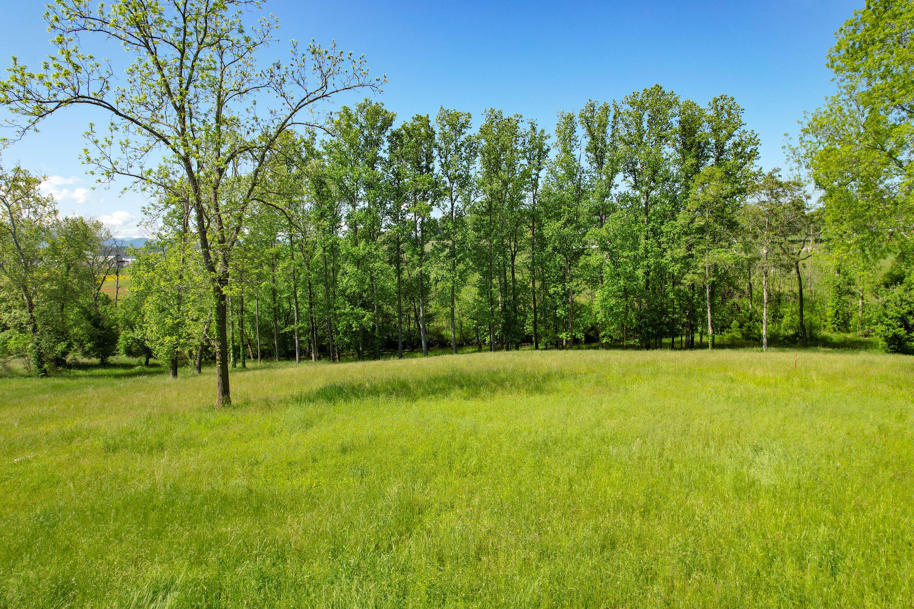 2320 Holly Creek Road Greeneville, TN 37745 - Photo 25 of 29 25