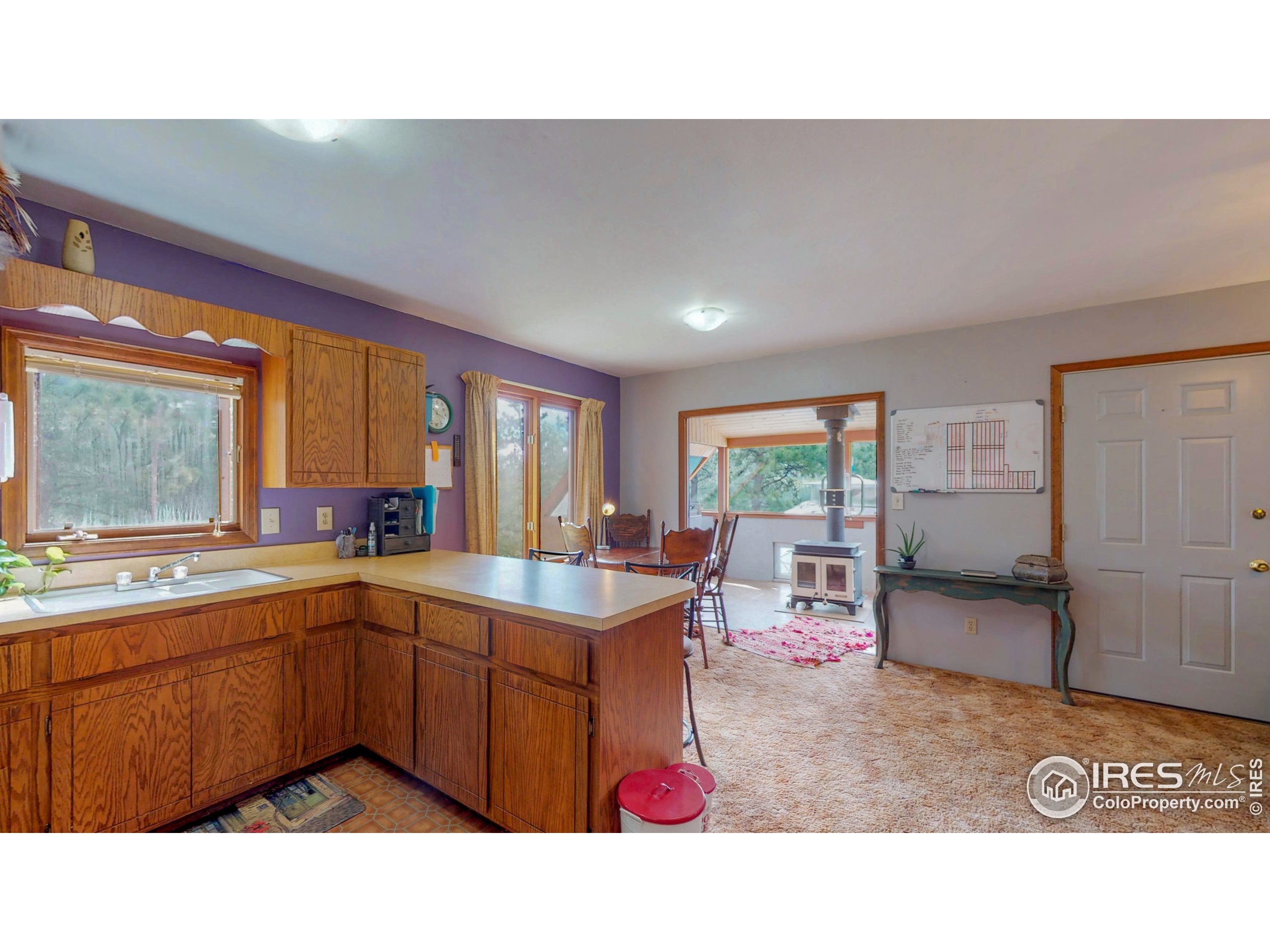 263 Badger Court Drake, CO 80515 - Photo 13 of 40