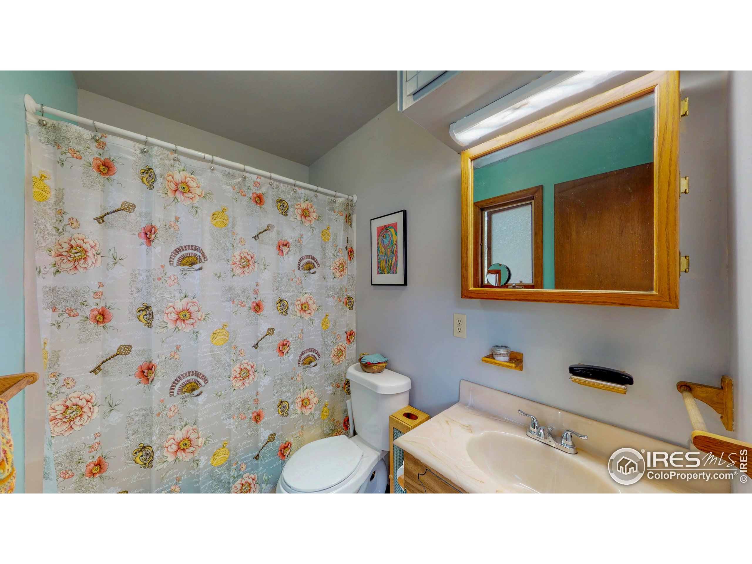 263 Badger Court Drake, CO 80515 - Photo 15 of 40