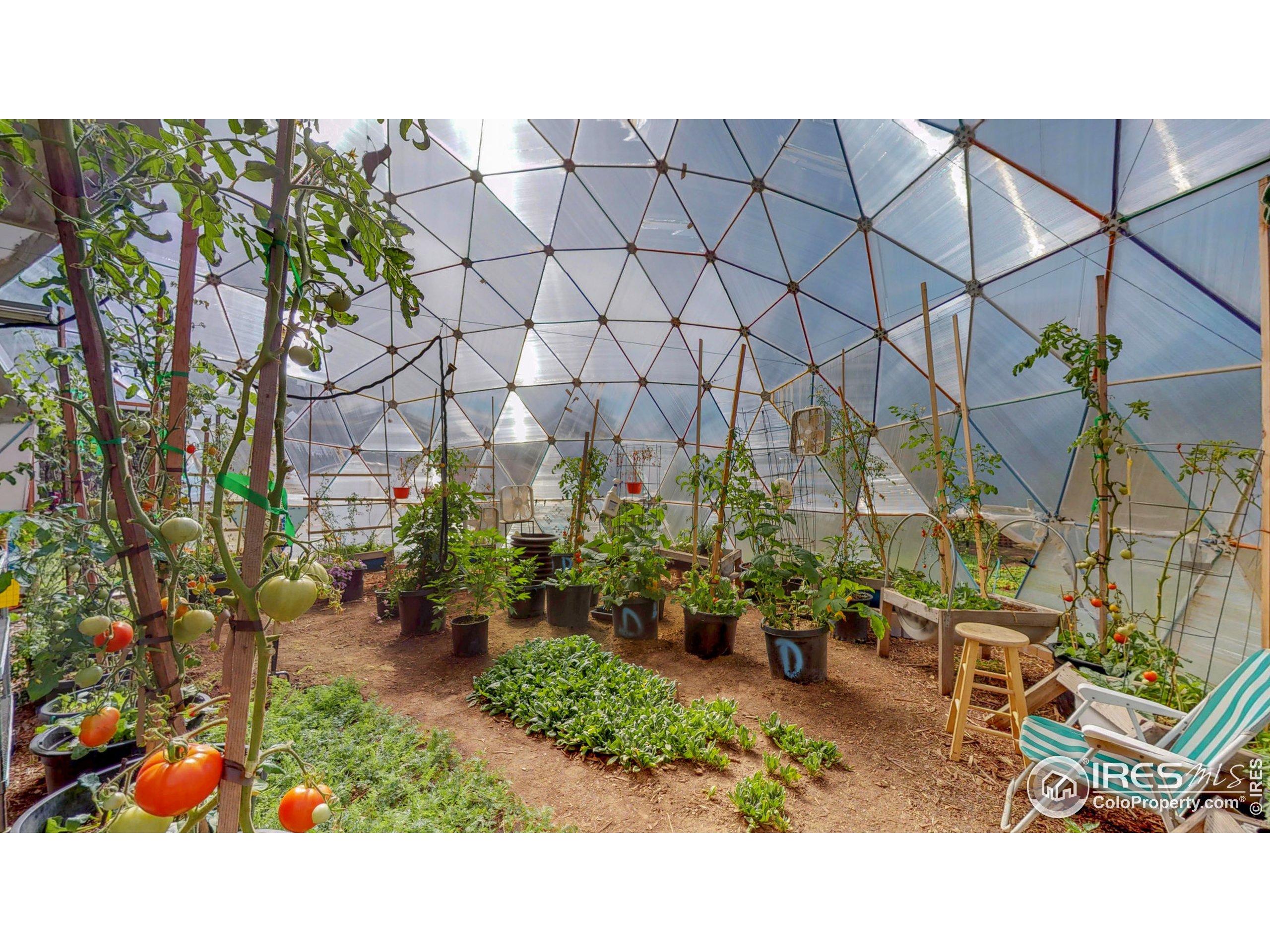 263 Badger Court Drake, CO 80515 - Photo 25 of 40