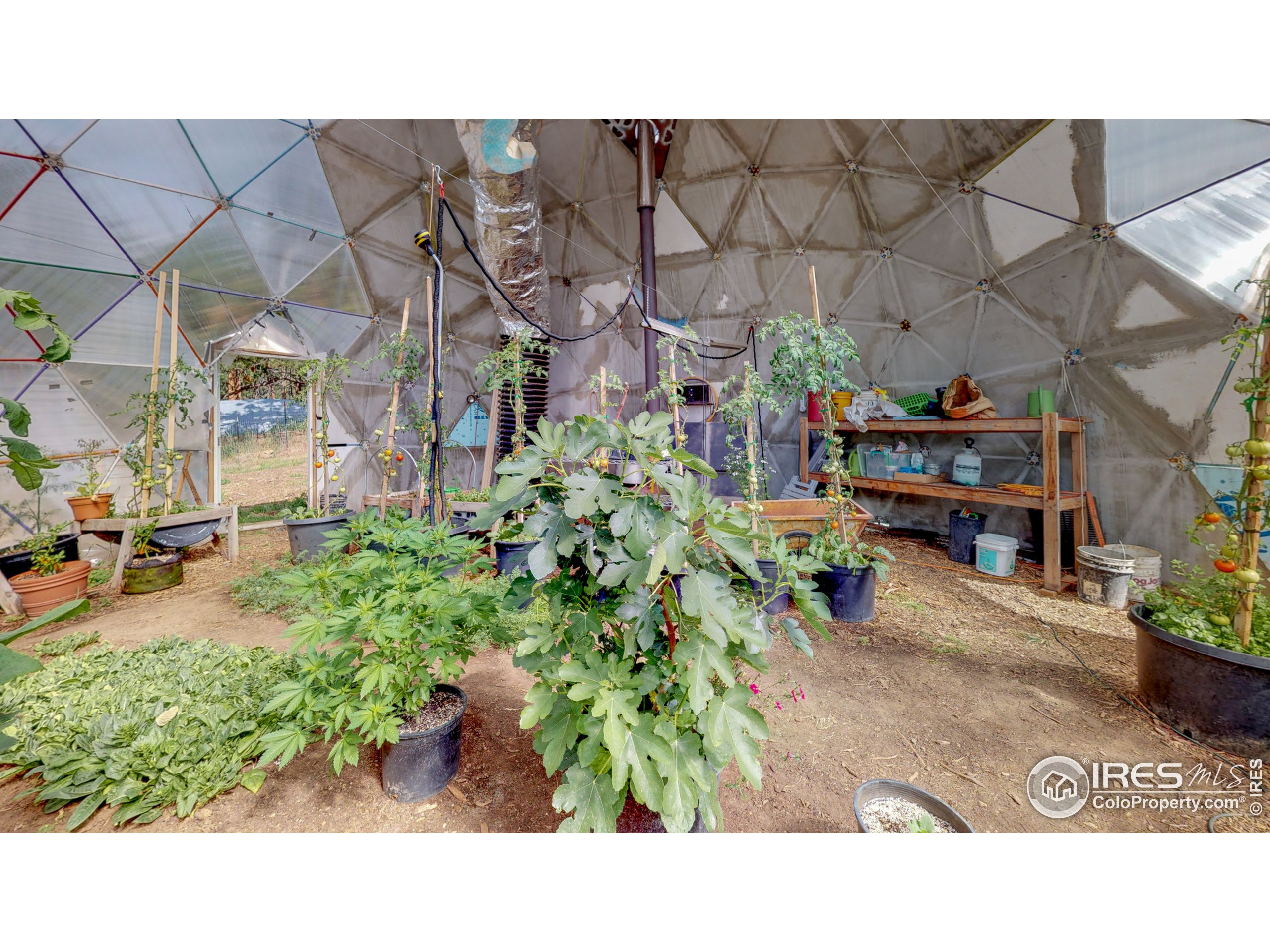 263 Badger Court Drake, CO 80515 - Photo 26 of 40