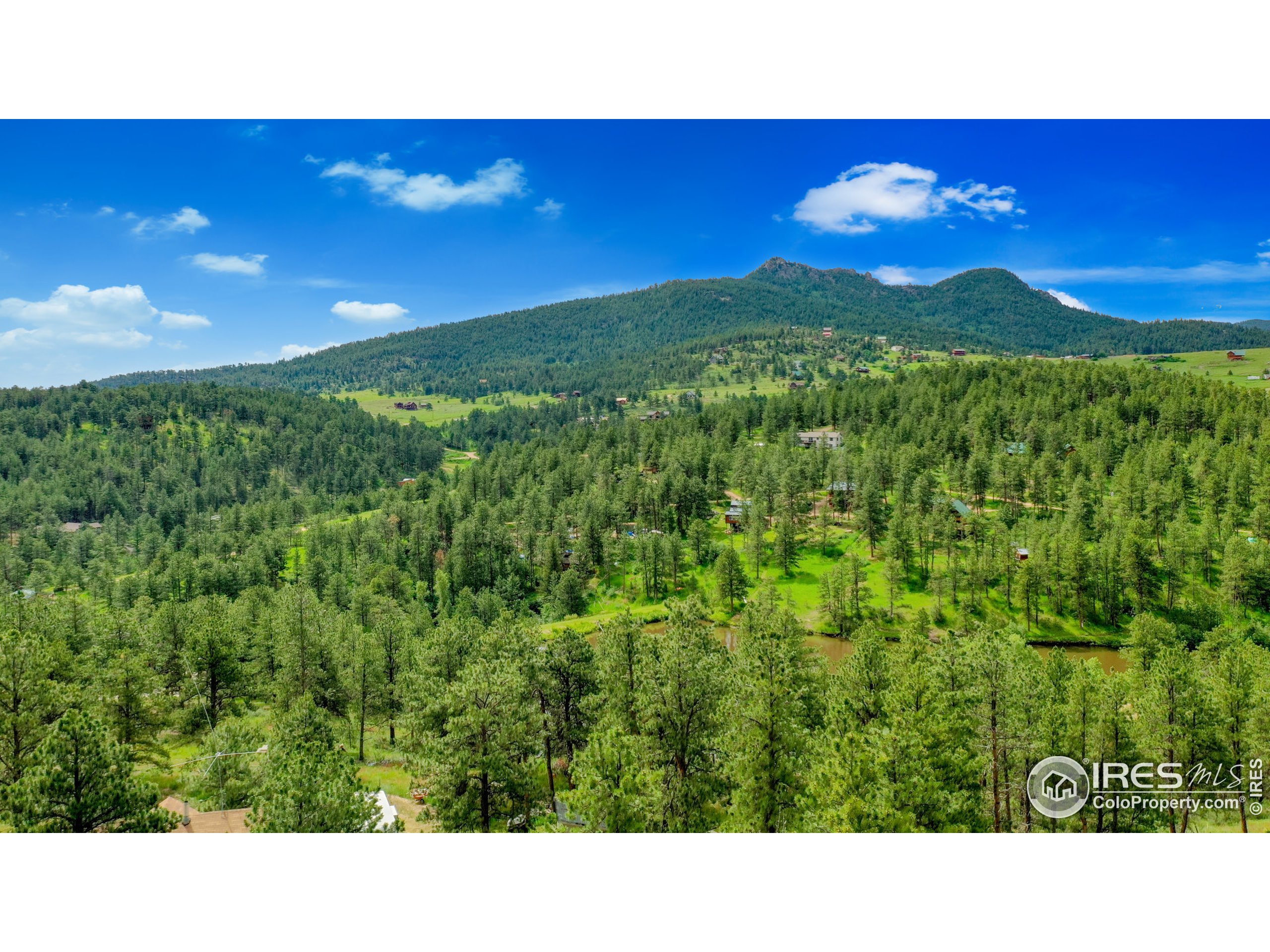 263 Badger Court Drake, CO 80515 - Photo 37 of 40