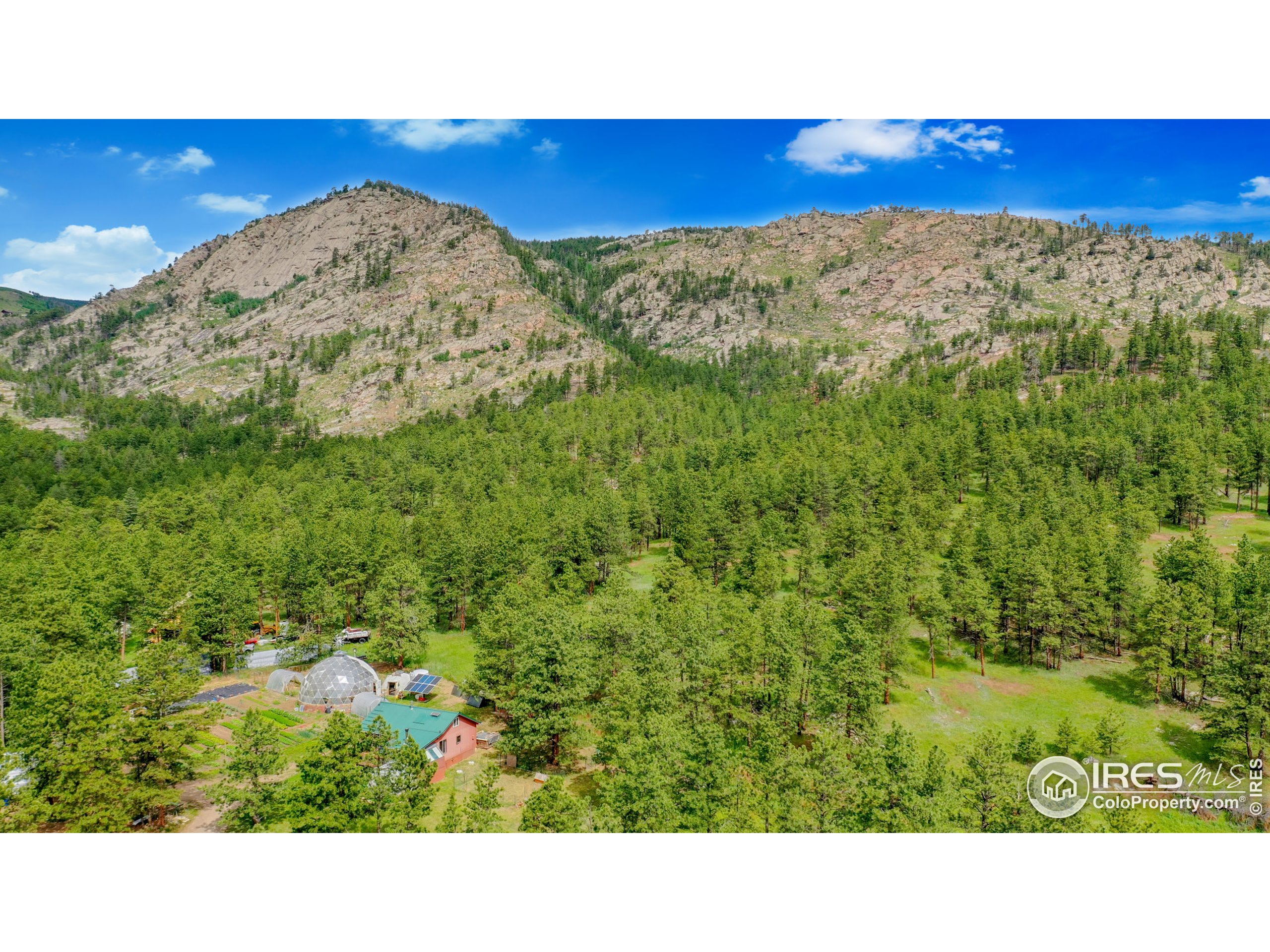 263 Badger Court Drake, CO 80515 - Photo 38 of 40