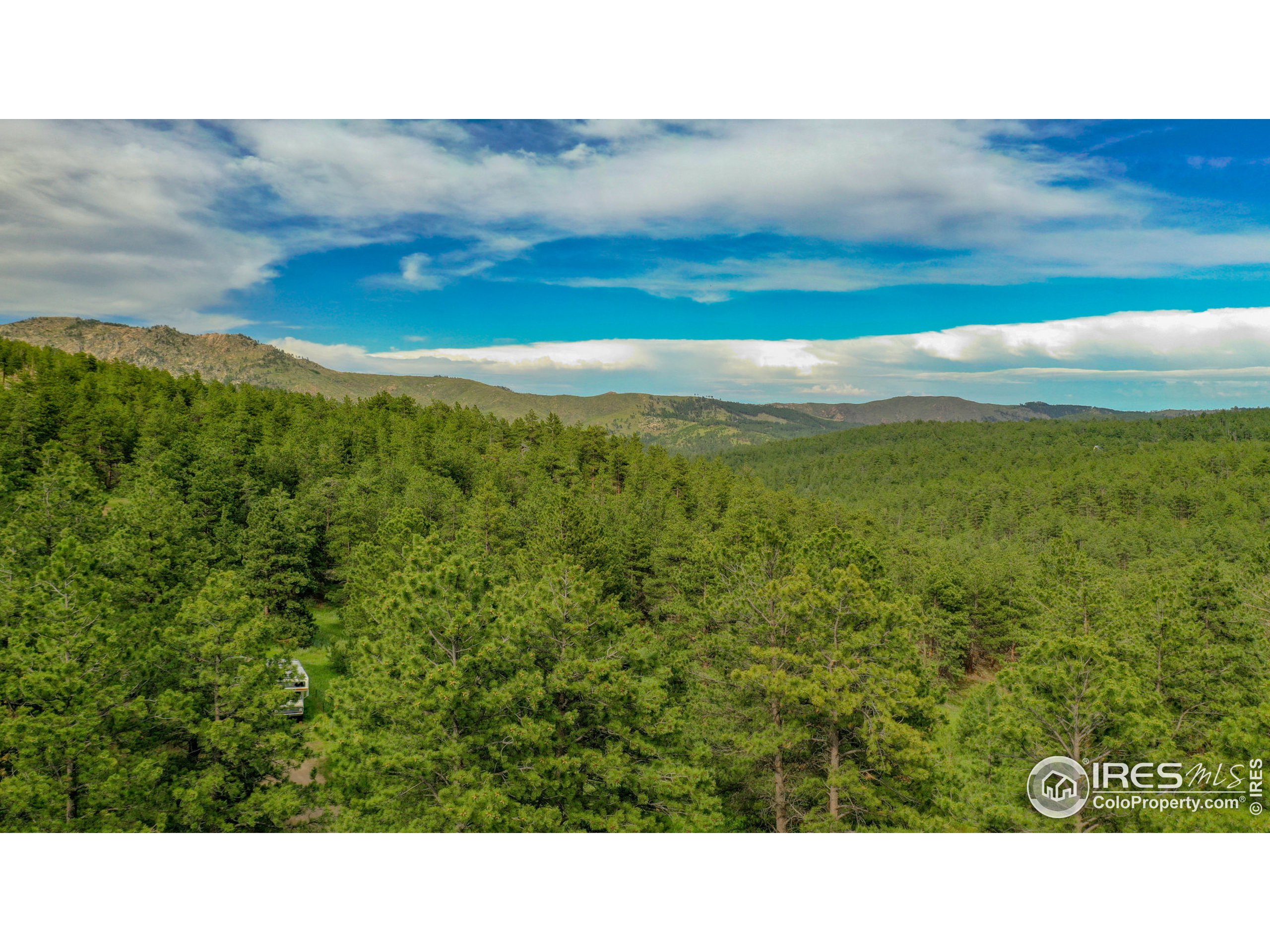 263 Badger Court Drake, CO 80515 - Photo 40 of 40