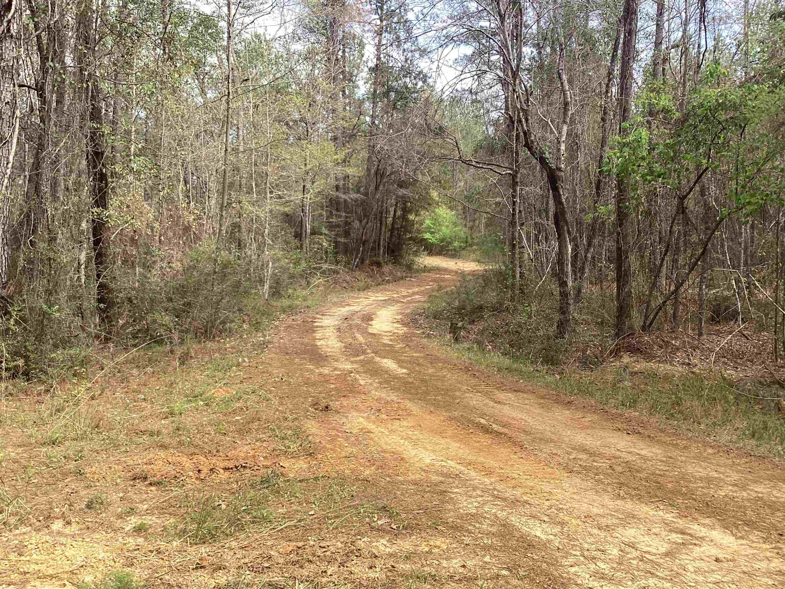 320 Co Road Andalusia, AL 36421 - Photo 15 of 28 Gallery Image 15