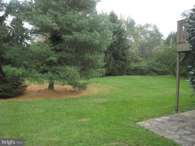 702 Stags Head Road Towson, MD 21286 - Photo 19 of 30 Rear Yard