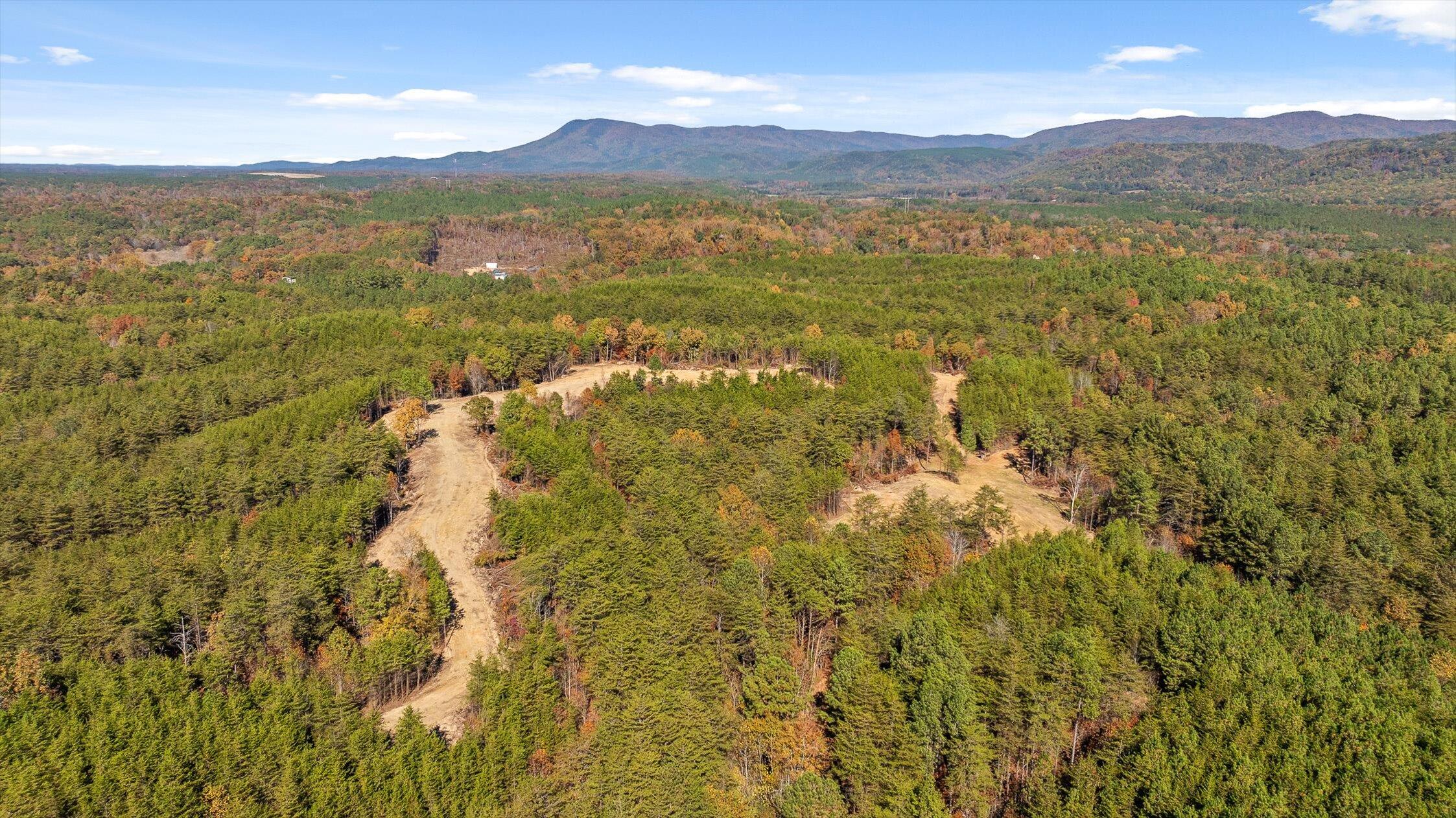 92-1 Conniston Road Chatsworth, GA 30705 - Photo 15 of 24 20-Conniston Tract 4a-20