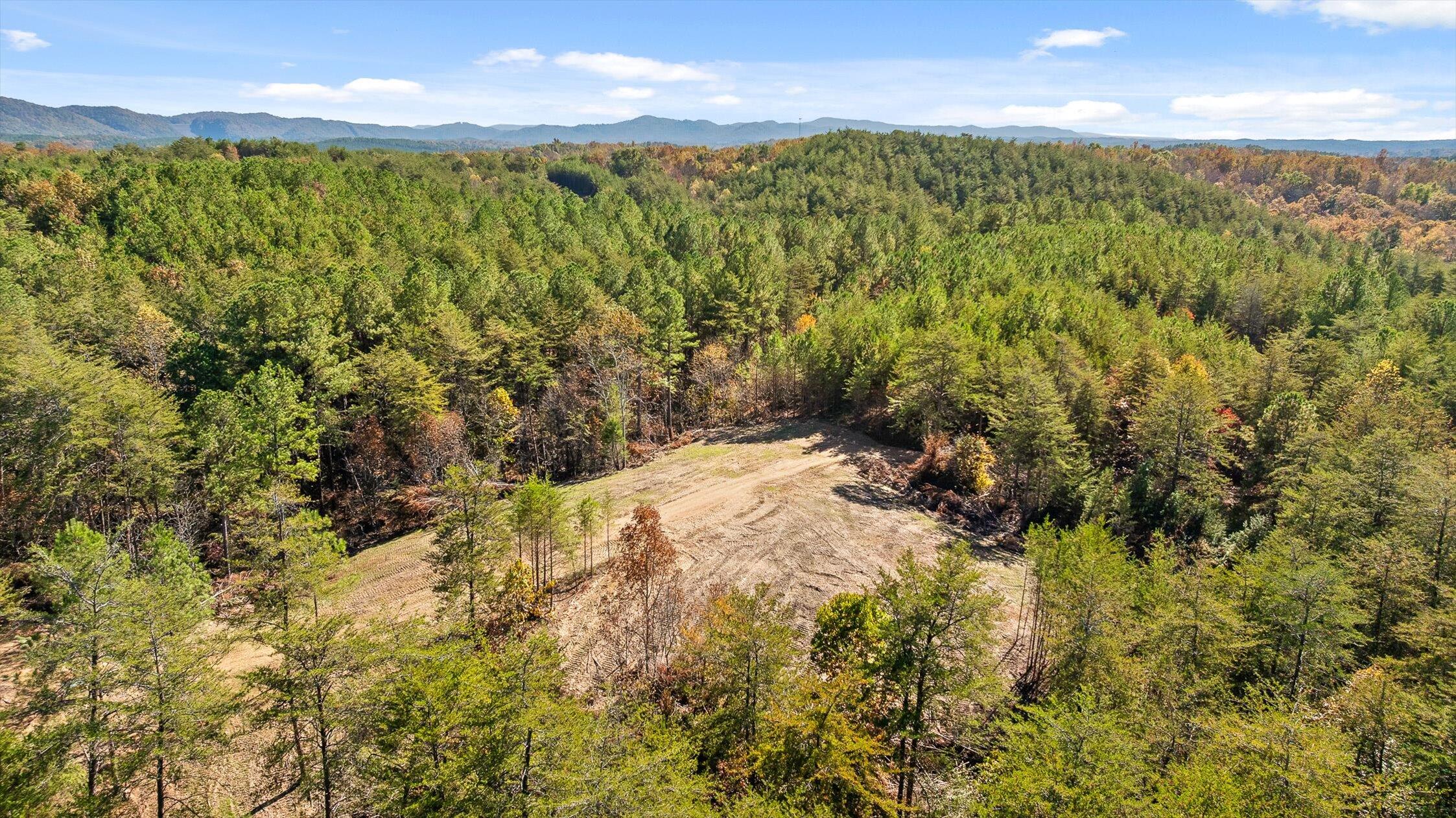 92-1 Conniston Road Chatsworth, GA 30705 - Photo 20 of 24 15-Conniston Tract 4a-15