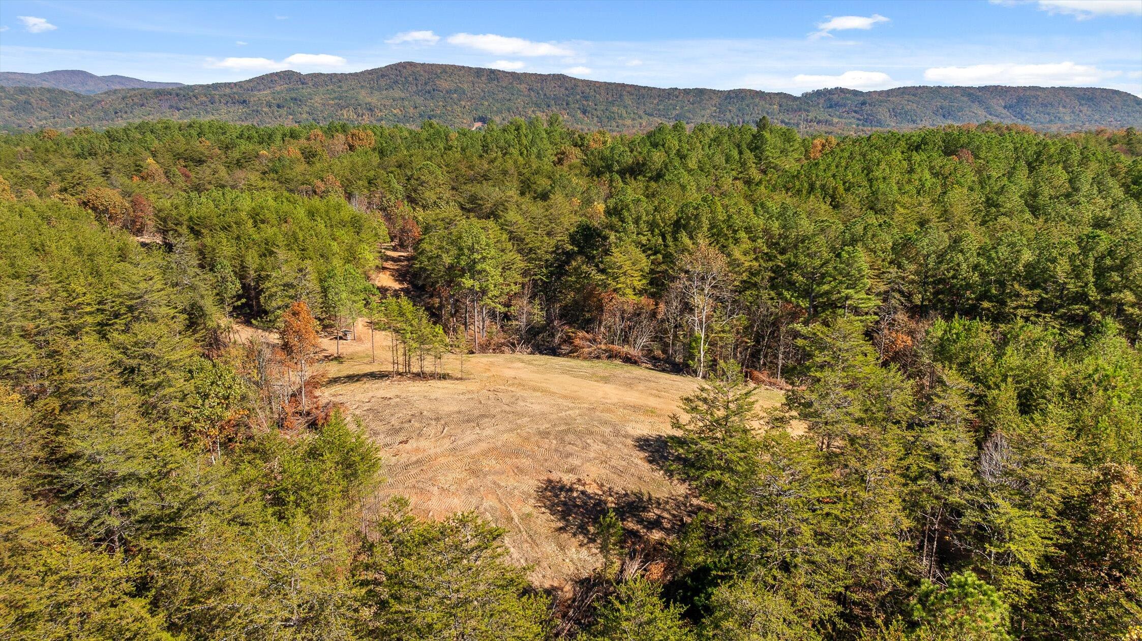 92-1 Conniston Road Chatsworth, GA 30705 - Photo 22 of 24 13-Conniston Tract 4a-13