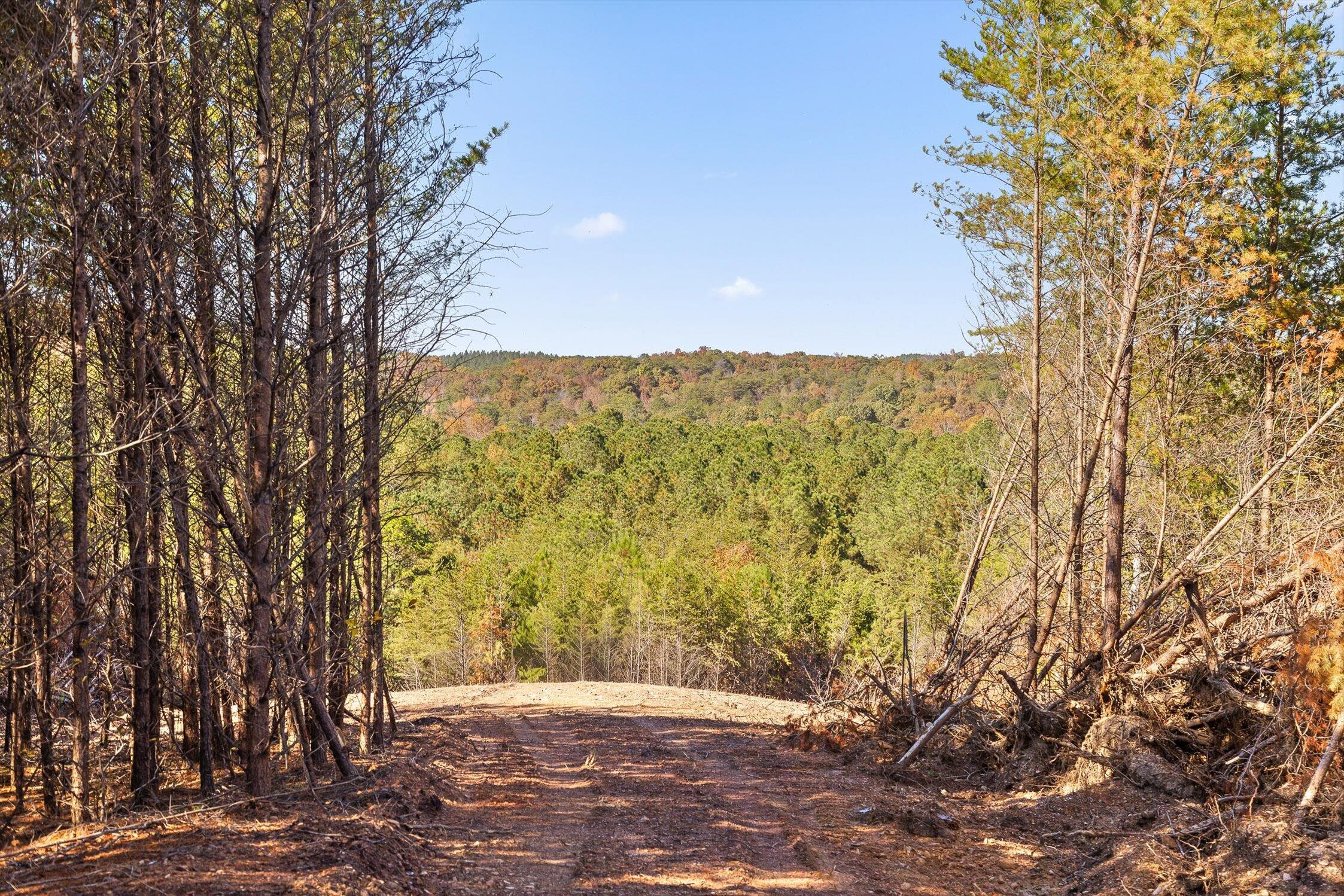92-1 Conniston Road Chatsworth, GA 30705 - Photo 5 of 24 08-Conniston Tract 4a-8