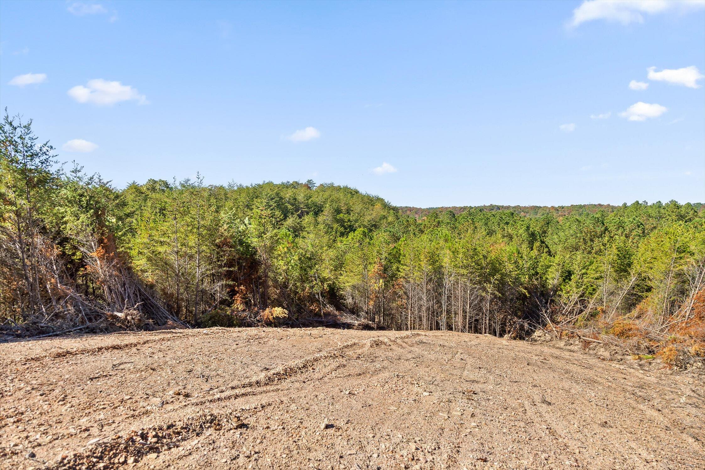 92-1 Conniston Road Chatsworth, GA 30705 - Photo 6 of 24 09-Conniston Tract 4a-9