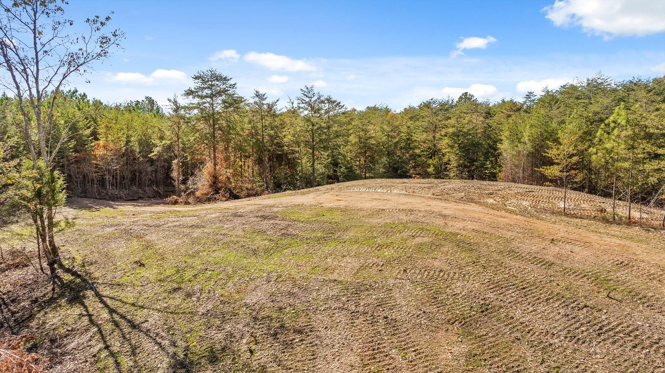 92-1 Conniston Road Chatsworth, GA 30705 - Photo 9 of 24 Tract 92