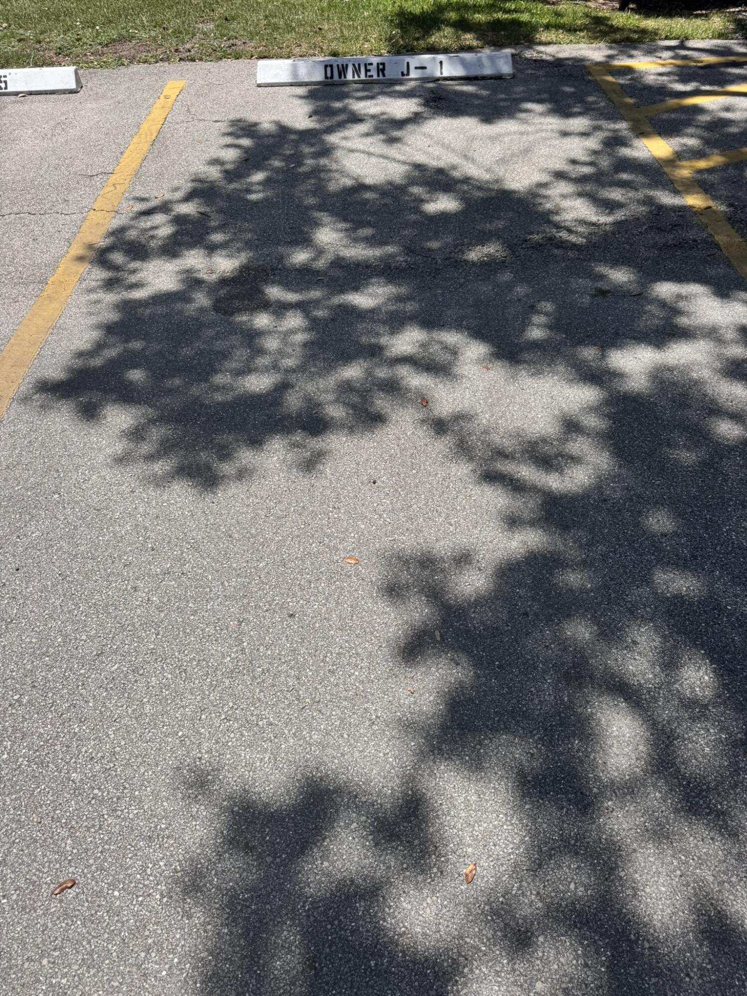 3124 Highway 441, Unit J1 Okeechobee, FL 34974 - Photo 29 of 40 a view of a yard