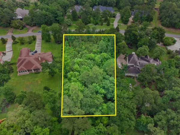 a view of a backyard with plants